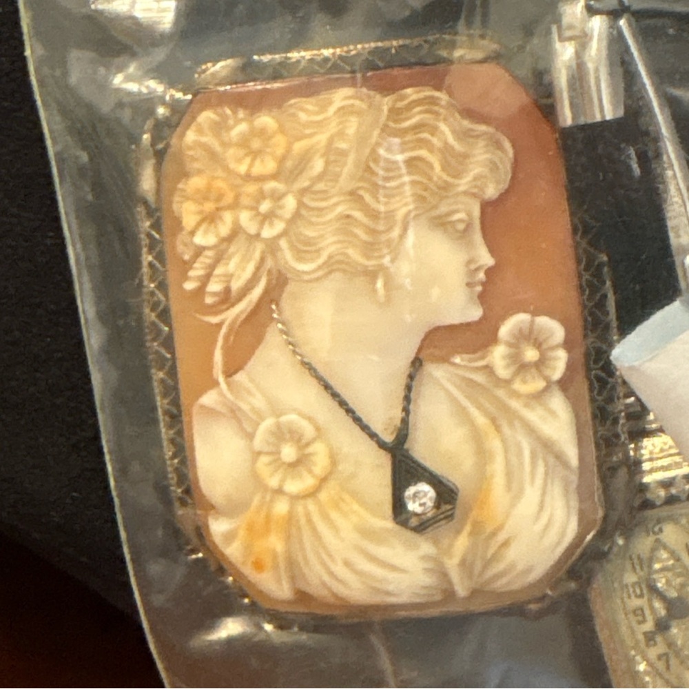 Elegant Cameo Pendant with Diamond and Floral Detail